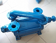 2SK型水環式真空泵